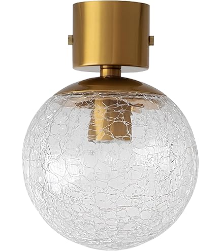 Amazon.co.jp : BELLED シーリングライト 1灯 リュネット E26 LED電球